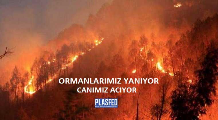 Ormanlarımız Yanıyor, Canımız Acıyor