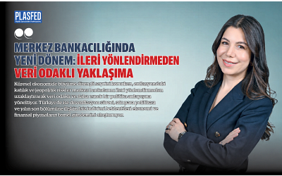 Ekonomi ve Finans Uzmanı Gözde İlter Çağıl, PLASFED Dergi için yazdı...